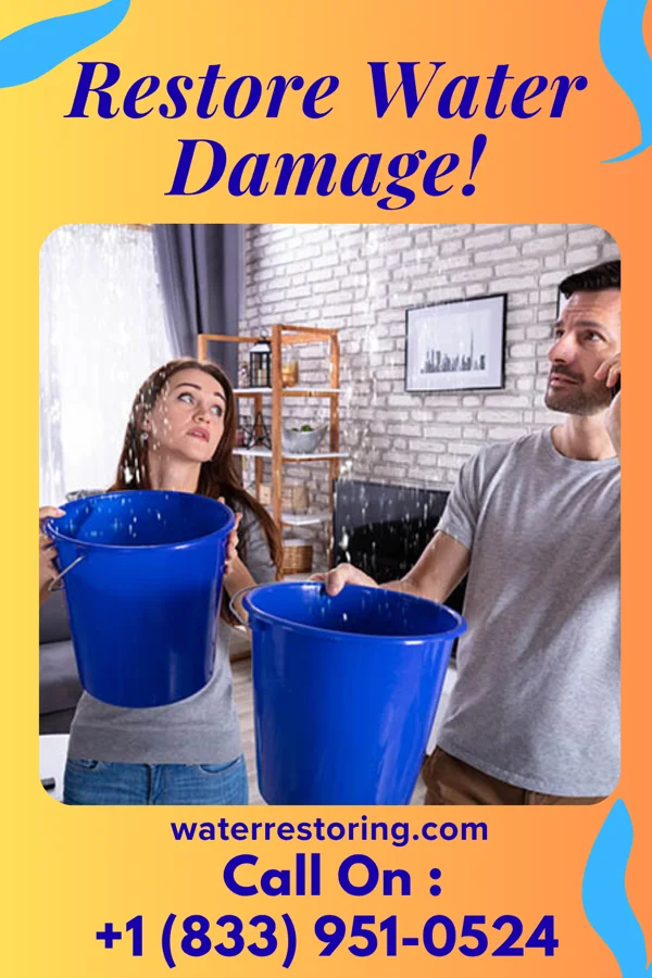 water restoration Titan Water Mitigation Contractors Edgemont