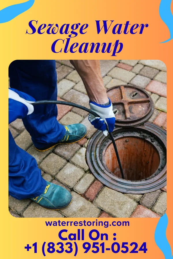 Sewage Water Cleanup in Edgemont, MD